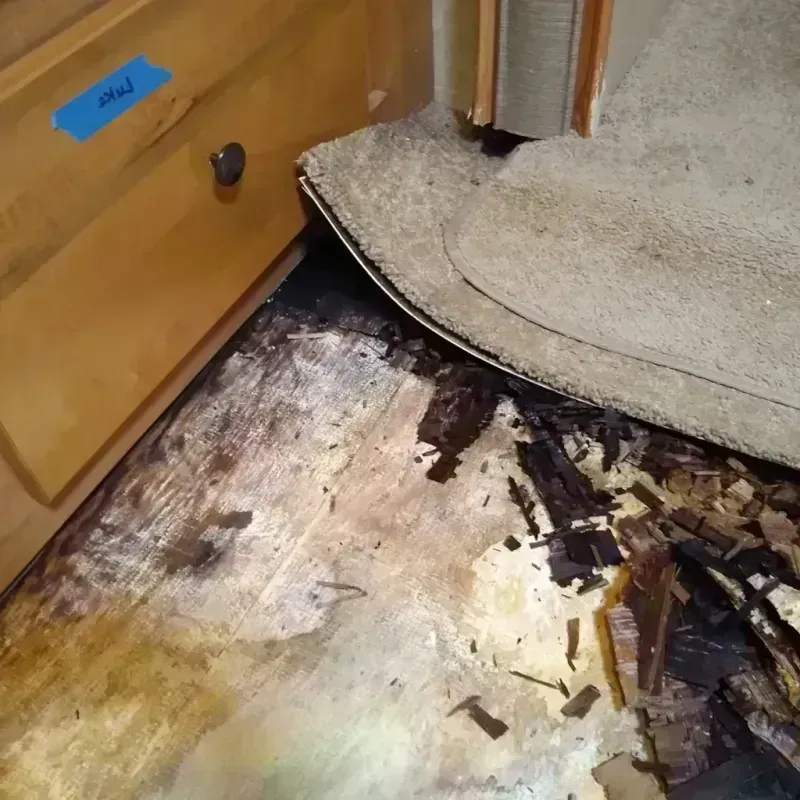 Wood Floor Water Damage in Bloomington, CA